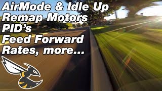 Betaflight setup/discussion: Remapping Motor, PID, Feed Forward, Rates, Air Mode / Idle up, Blheli32