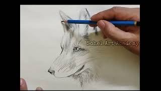 How to draw a DOG face by pencil sketch