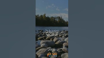 القارئ رعد الكردي || و أطيعوا الله و أطيعوا الرسول