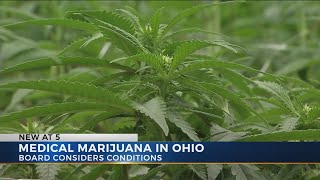 Ohio board considers expanding health conditions that could qualify for medical marijuana