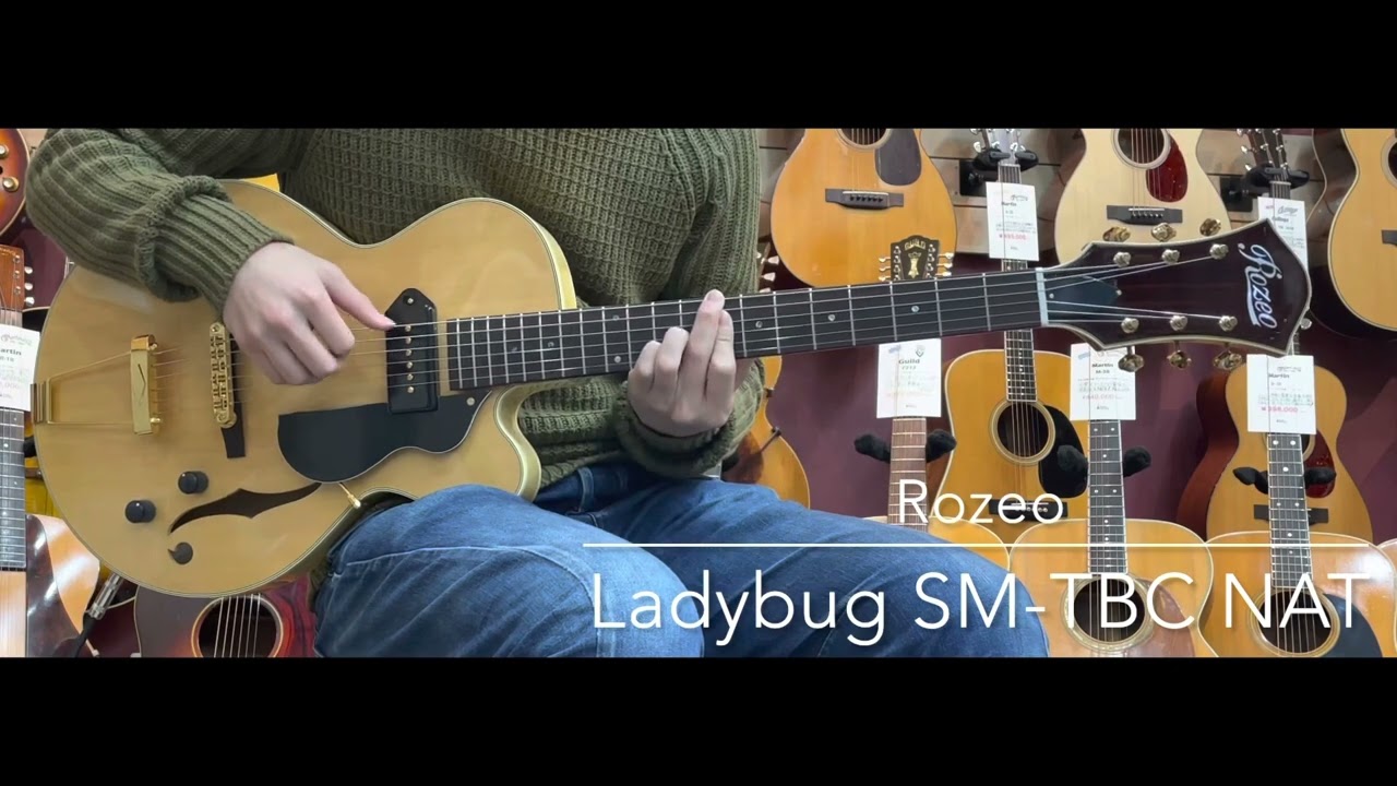 Ladybug はみで SM-TBC - Natural ロゼオ フルアコ シンボディ 