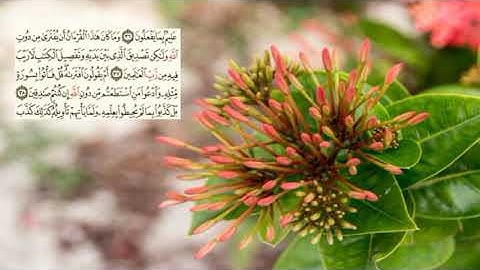 صفحة-213 page سعد الغامدي - -سورة يونس -10-Jonas) Yunus)
