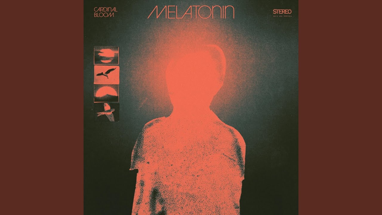 Watch melatonin on YouTube Watch melatonin on YouTube