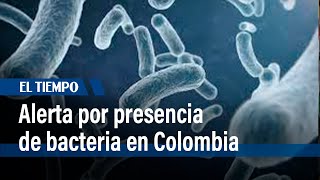 Thumbnail for Alerta en Colombia por la presencia de la bacteria burkholderia en un medicamento | El Tiempo