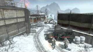 One shot two kills - L91A1 - Array - Black Ops