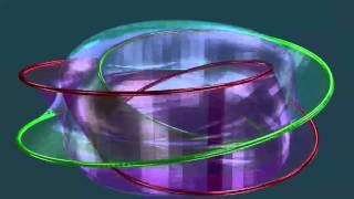 Famous Mathematics visualization: topology. The holiverse sphere eversion Wealth