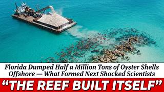 Florida Dumped Half a Million Tons of Oyster Shells Into the Ocean — Look What Happened