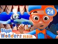 ブリッピーのさめのはひみつ| ブリッピーワンダーズ | 子供向け動画 | 人気アニメ