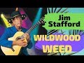 Jim Stafford LIVE  Wildwood Weed  & Saving Chihuahuas Lives