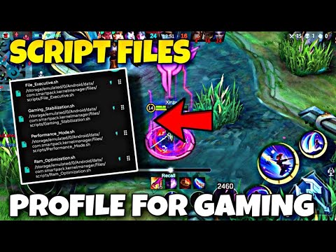 Streaming Script Gaming LEGIT!⚡Execute Script Files For Gaming🔥Max Performance Without Root ...