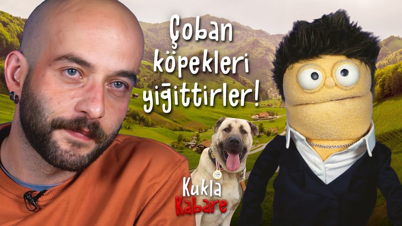 HAYVANCILIK, ANTİBİYOTİKLİ TAVUKLAR, KAŞAĞI