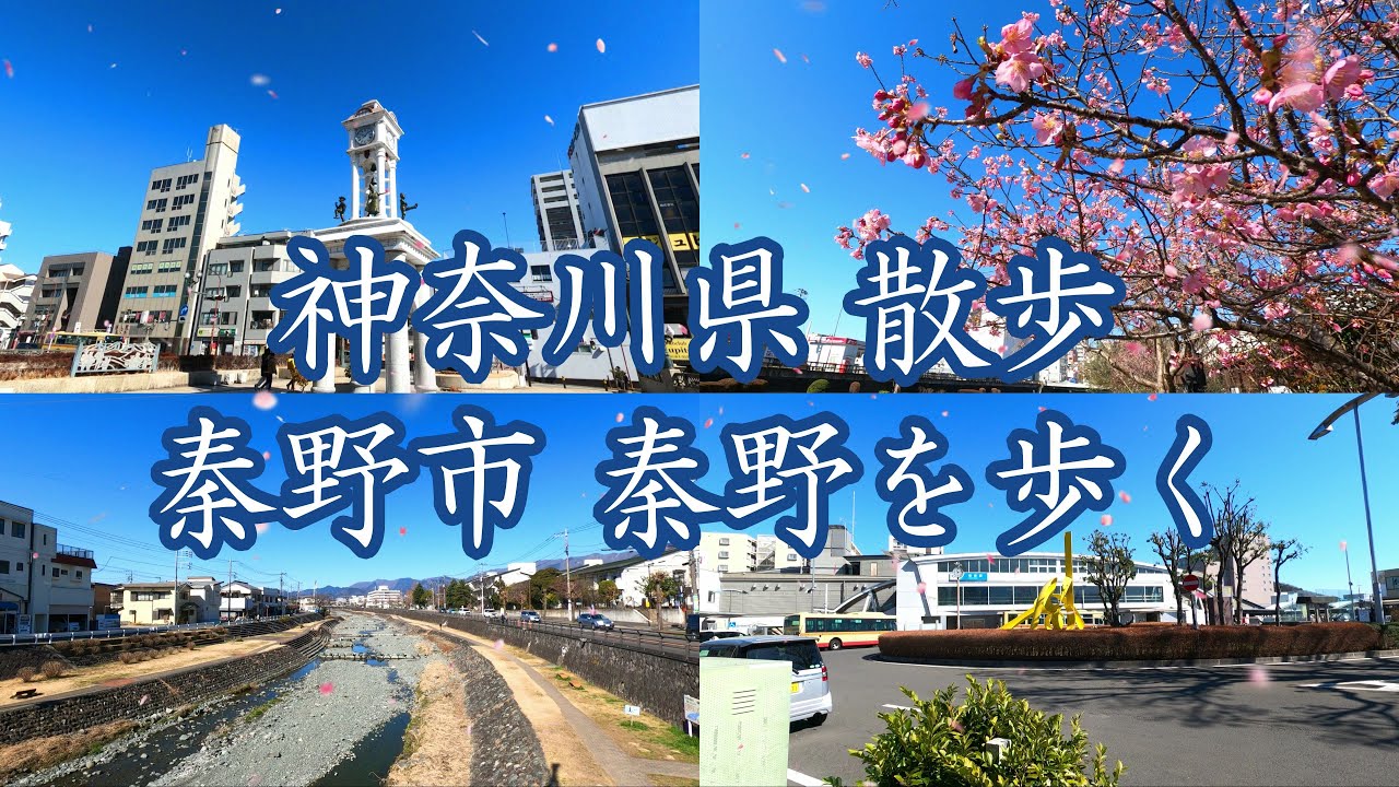 ( 4K ) 神奈川県 散歩 秦野を歩く ( Walking Kanagawa Hadano city )