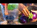 Best Indian Food Cooking | Village Cooking | Farm To Table Just Amazing Food