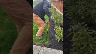 How to edge your lawn (easy). Love, Dad
