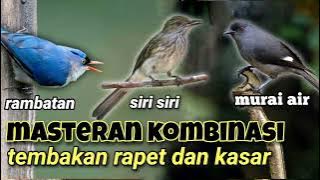 MASTERAN KOMBINASI TEMBAKAN RAPAT RAMBATAN,MURAI AIR & SIRI SIRI !!! FULL DURASI 1 JAM