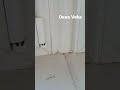 Стоит ли покупать окна Veka #shorts #veka #монтажокон