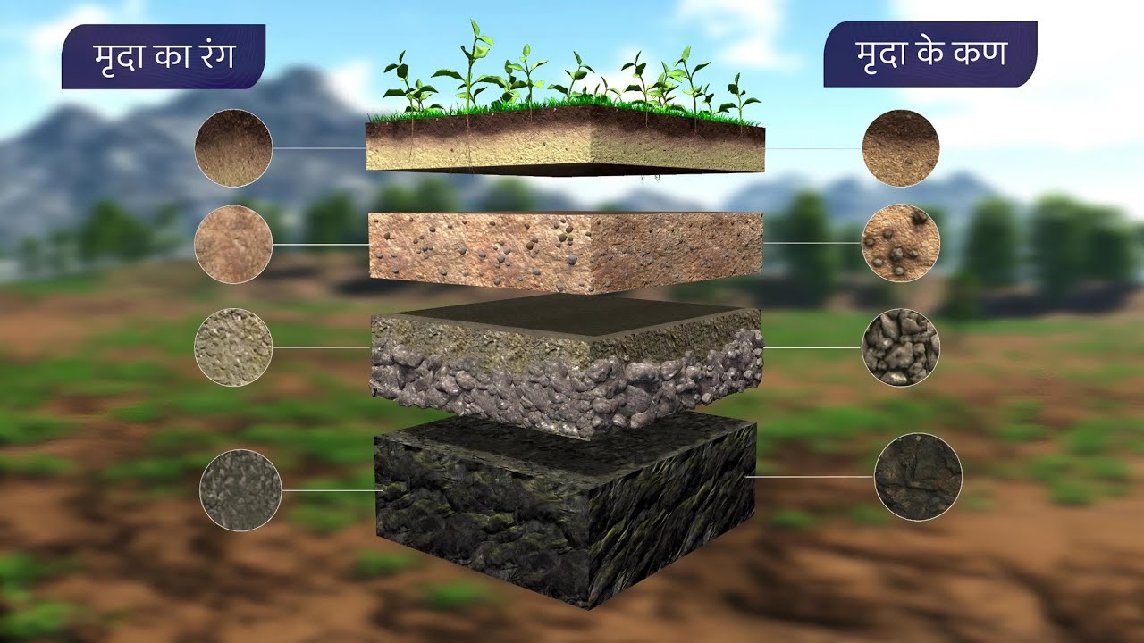 मृदा और उसकी परिच्छेदिका [ NCERT ] 3D Animation