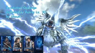 FF7EC - Escalation Challenge: Gallonbaloir Patres Lv. 30 by Shauni