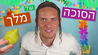 הפינה של מלך | הסוכה של מלך זילברשלג