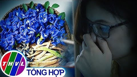 THVL | Thực hư công dụng của "thần dược" hoa đậu biếc