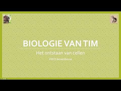 Biologie van Tim - Het ontstaan van cellen (bovenbouw)