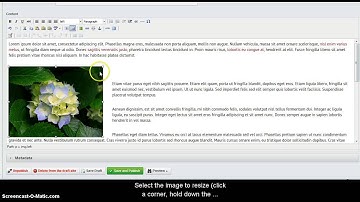 Upload an image | Silverstripe
