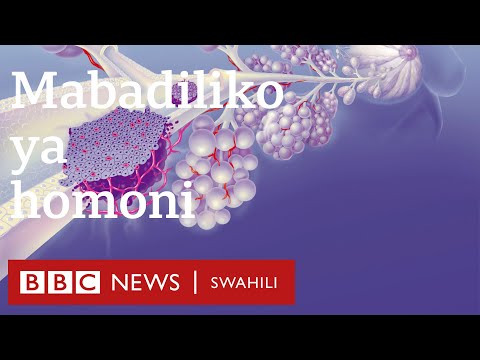 Video: Mfumo wa kutokuwa na fuko?