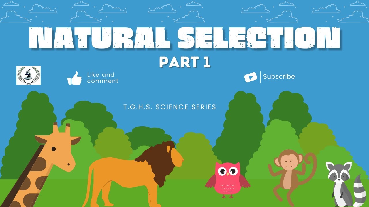 Natural Selection Part I - YouTube