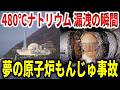 国費1兆円もわずか250日で廃炉。原子炉もんじゅ漏洩火災事故の隠蔽された事実と関係者の不可解な最期【ゆっくり解説】