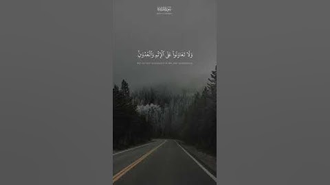 {....على البر والتقوى ولا تعاونوا على الإثم والعدوان واتقوا الله إن الله شديد العقاب}[سورة المائدة٢]