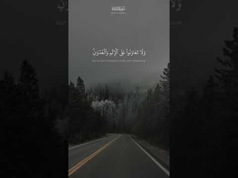 على البر والتقوى ولا تعاونوا على الإثم والعدوان واتقوا الله إن الله شديد العقاب سورة المائدة٢