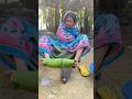 Amazing gourd c'utting skills.!😱#shorts #viral