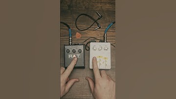 WHICH SOUNDS BETTER?! ProCo RAT 2 vs 1981 DRV mmhmm #pedals #guitar #rat