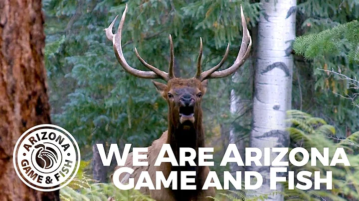 We Are Arizona Game and Fish