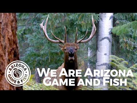 We Are Arizona Game and Fish