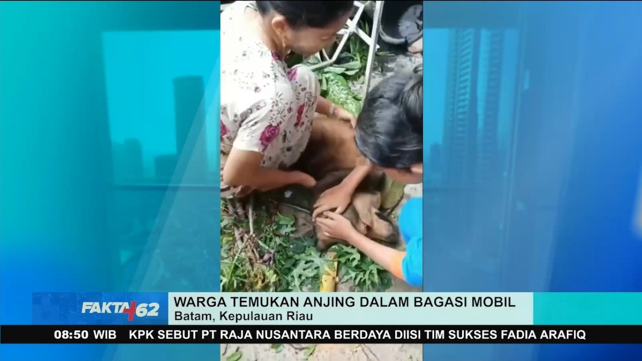 Komplotan Maling Anjing Berhasil Ditangkap!