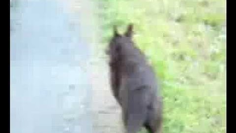 j62 hands-free timesheets * time tracking * metriq