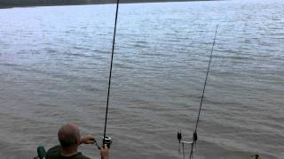 World Carp Classic 2011   laying the traps