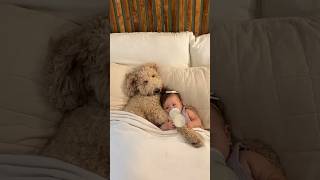 BEST FRIENDS FUR-EVER! 😍🐾 #baby #love #puppy #family#sweet#wholesome#cutebaby#happy#parents