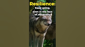 Embrace Your Inner Strength: Unleash the Power Within