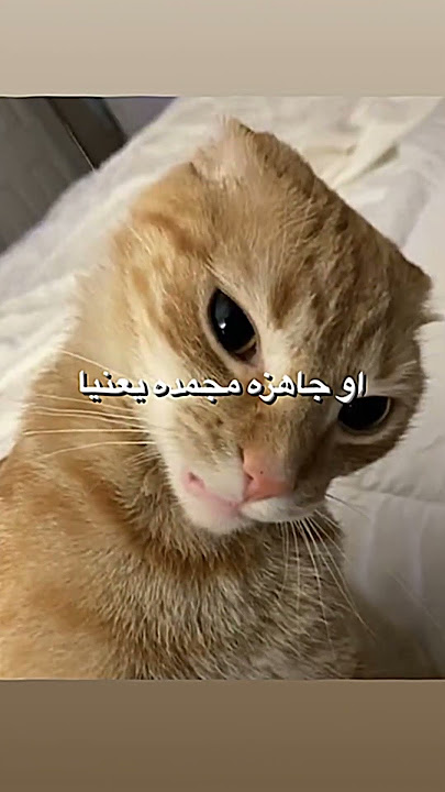 ازاي هتعملي ملوخية بطريقة الست المصرية مع طنط سوسو 🤣