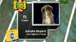 Puppy Bowl Classic: Starting Lineup