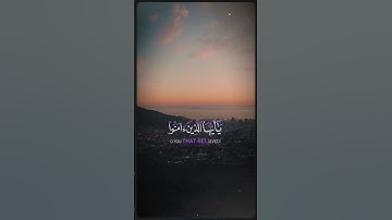 استمع إلى تلاوة خاشعة للقرآن الكريم تملأ القلب سلاماً