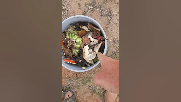 Monday April 24-23🧑‍🌾65 degrees windy 10 miles per hour 5:13 pm 🍓🍓🍓finishing mulching strawberry bed