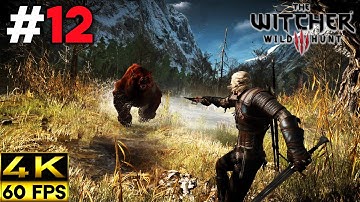 The Witcher 3 Wild Hunt 2020 Gameplay Walkthrough | Part 12 (4K 60FPS)