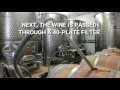 The Wine Making Process from Start to Finish at Adirondack Winery