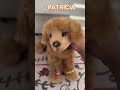 Use this new sound #douglas #puppy