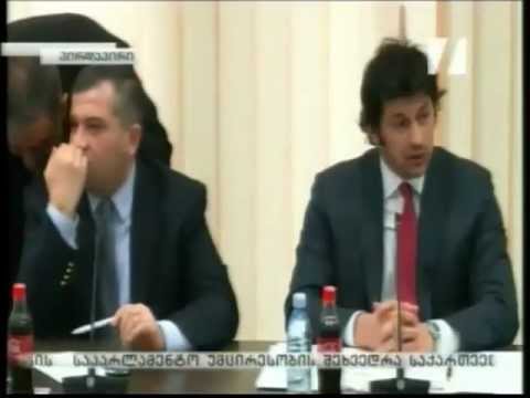 შეხვედრა ოპოზიციასთან - 04.04.2013