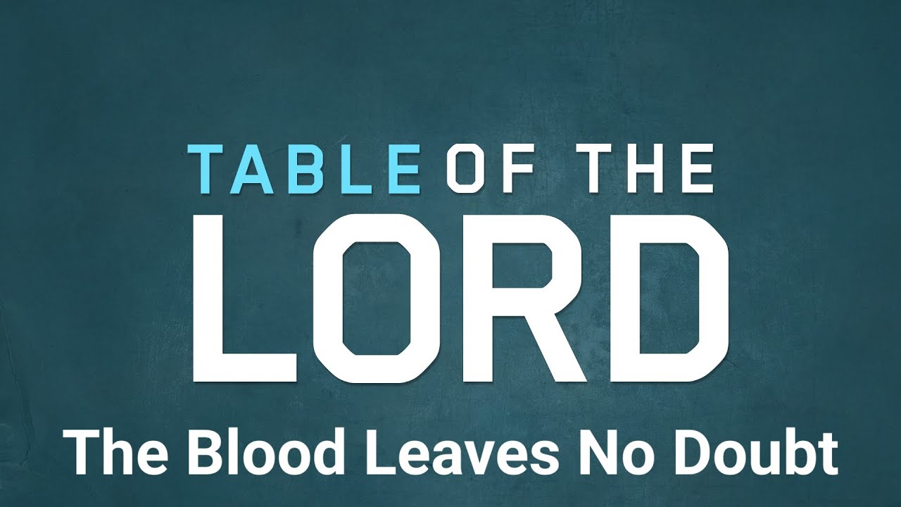 3 ноября 2025 г. Кровь не оставляет сомнений