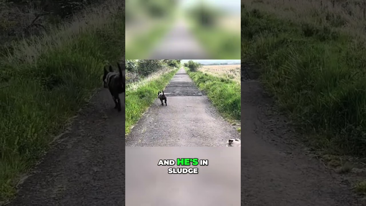 Stuck in Sludge! Man's Muddy Misadventure